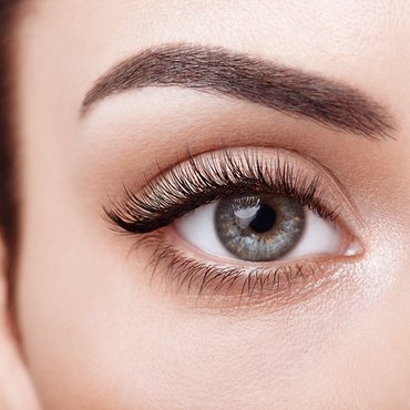 Close-up of defined eyebrow and eyelashes